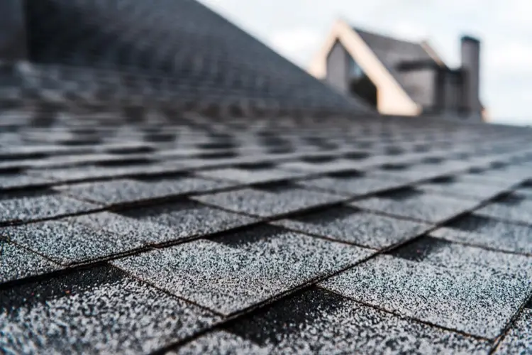 Close up of black roof shingles