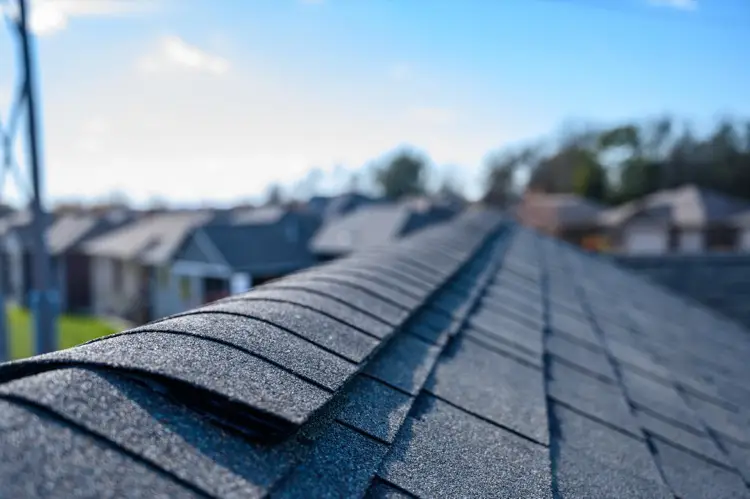 Roof Ridge Explained: The Key to Proper Roof Ventilation and Stability