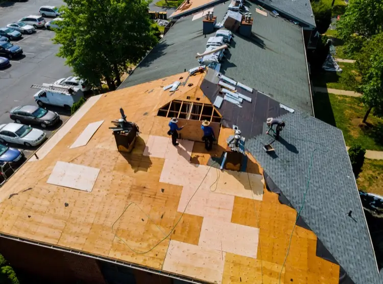Roof Storm Damage: How to Spot It and What to Do Next